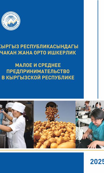 Small and medium business in the Kyrgyz Republic
