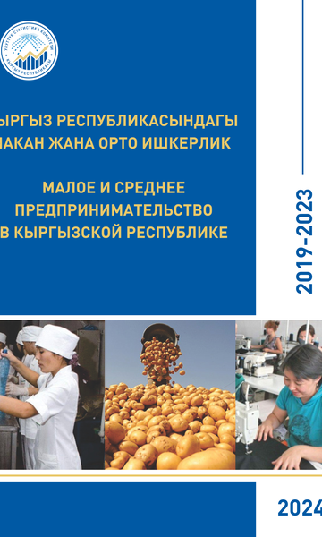 Small and medium business in the Kyrgyz Republic